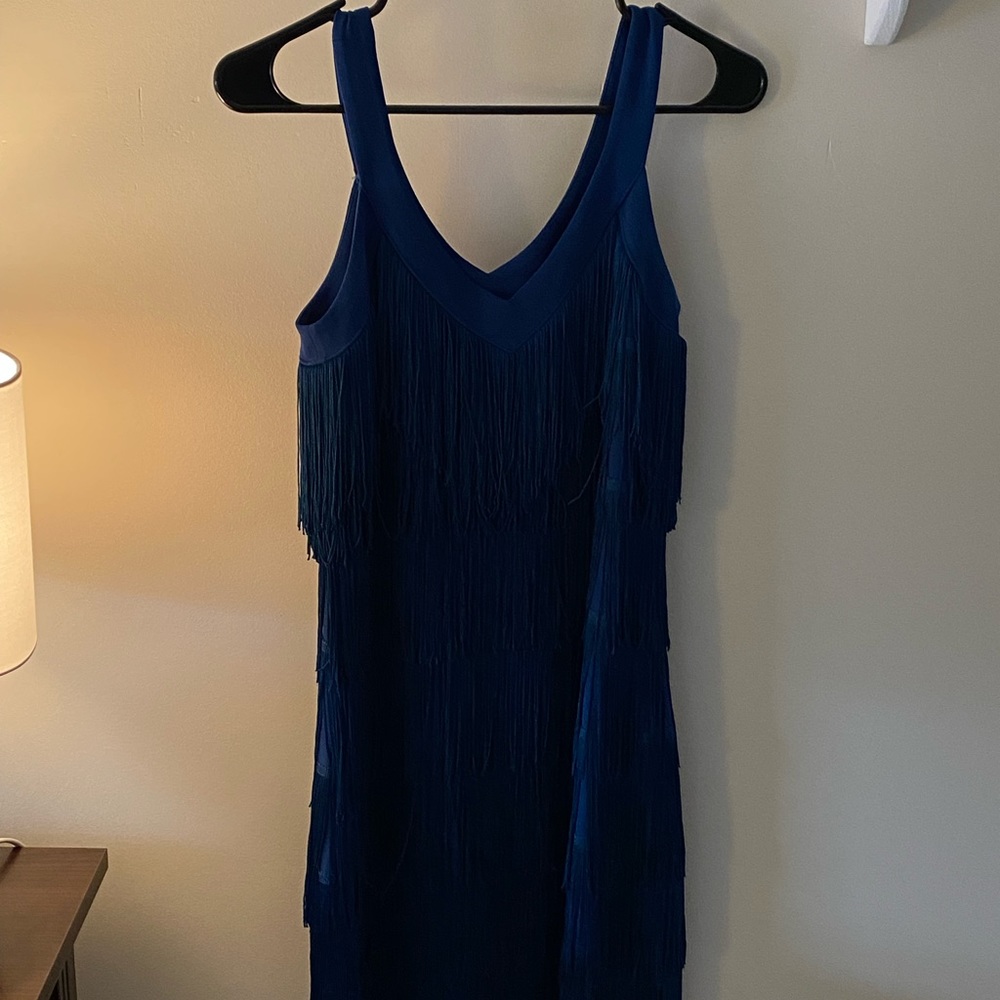 Gorgeous Flapper dress